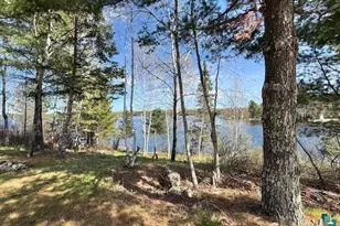 2275 Loon Point, Makinen, MN 55763 - Photo 23