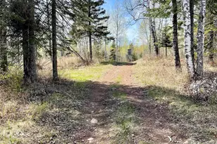 183 Cramer Rd, Schroeder Township, MN 55613 - Photo 47