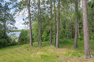 7280 Far North Rd, Buyck, MN 55772 - Photo 45