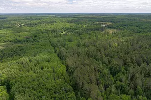 7280 Far North Rd, Buyck, MN 55772 - Photo 83