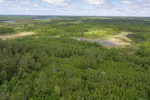 7280 Far North Rd, Buyck, MN 55772 - Photo 95