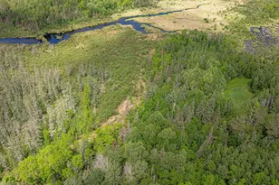 7280 Far North Rd, Buyck, MN 55772 - Photo 79