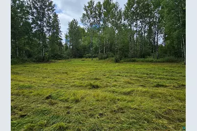 Tbd Samuelson Rd, Angora, MN 55703 - Photo 21