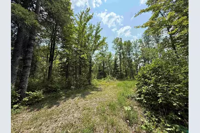 Tbd Samuelson Rd, Angora, MN 55703 - Photo 27