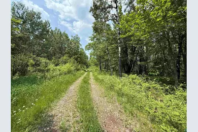 Tbd Samuelson Rd, Angora, MN 55703 - Photo 3