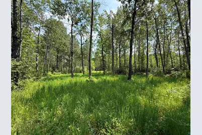 Tbd Samuelson Rd, Angora, MN 55703 - Photo 25