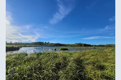 Tbd Samuelson Rd, Angora, MN 55703 - Photo 23