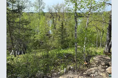 Tbd Moose Creek Tr, Ely, MN 55731 - Photo 9