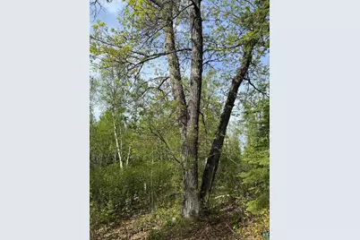 Tbd Moose Creek Tr, Ely, MN 55731 - Photo 15