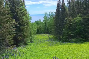 871 Gunflint Trail, Grand Marais, MN 55604 - Photo 3