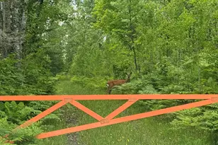 2647 Billings Rd, Hibbing, MN 55746 - Photo 35