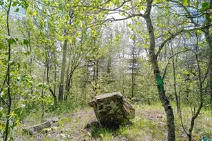 54 Caps Trail, Lutsen, MN 55612 - Photo 43