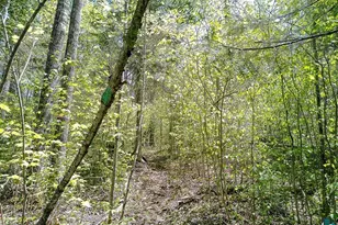 54 Caps Trail, Lutsen, MN 55612 - Photo 41