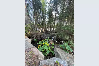 190 N Loon Lake Rd, Grand Marais, MN 55604 - Photo 45