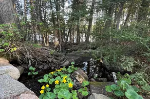 190 N Loon Lake Rd, Grand Marais, MN 55604 - Photo 45