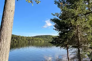 190 N Loon Lake Rd, Grand Marais, MN 55604 - Photo 5