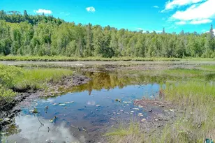 6975 Cramer Rd, Finland, MN 55603 - Photo 41