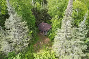 6975 Cramer Rd, Finland, MN 55603 - Photo 41