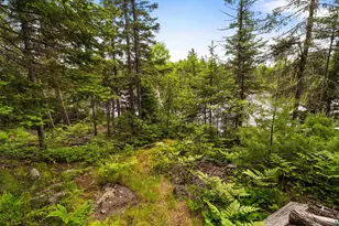 125 Voyageurs Point Rd, Grand Marais, MN 55604 - Photo 39