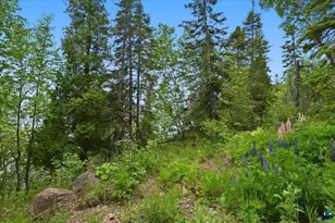 828 Slater Dr, Beaver Bay, MN 55601 - Photo 39