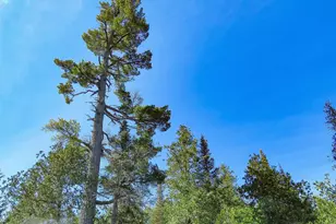 121 S Caps Trail, Lutsen, MN 55612 - Photo 43