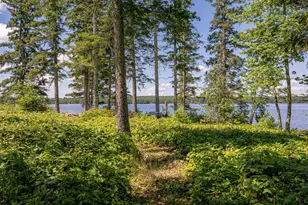 13321 Lodge Rd, Ely, MN 55731 - Photo 71