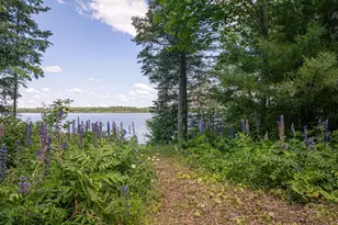 13321 Lodge Rd, Ely, MN 55731 - Photo 93