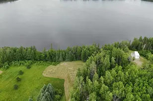 3353 Mud Hen Rd, Makinen, MN 55763 - Photo 5
