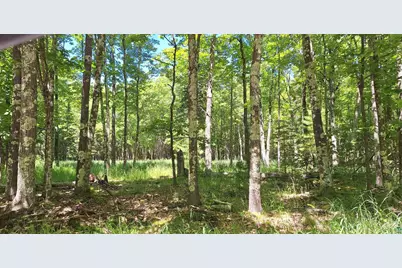 Xxx South Shore Rd, La Pointe, WI 54850 - Photo 13
