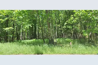 Xxx South Shore Rd, La Pointe, WI 54850 - Photo 7