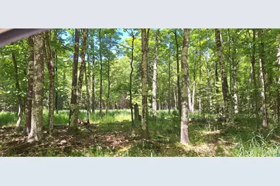 Xxx South Shore Rd, La Pointe, WI 54850 - Photo 7