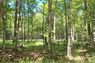Xxx South Shore Rd, La Pointe, WI 54850 - Photo 1