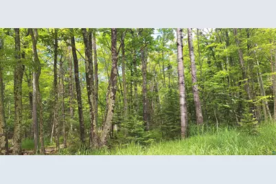 Xxx South Shore Rd, La Pointe, WI 54850 - Photo 11