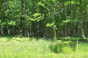 Xxx South Shore Rd, La Pointe, WI 54850 - Photo 1
