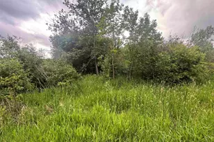 8Xxx Townline Rd, Forbes, MN 55738 - Photo 1