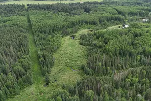 Tbd Quaal Rd, Forbes, MN 55738 - Photo 1