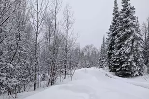 14 Co Rd 48, Grand Marais, MN 55604 - Photo 55