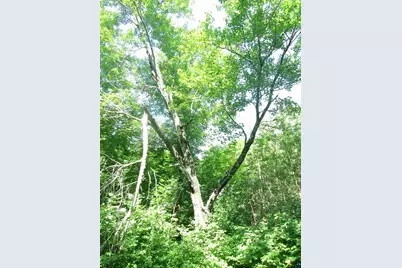 6810 Northeast Rd, Wright, MN 55798 - Photo 21