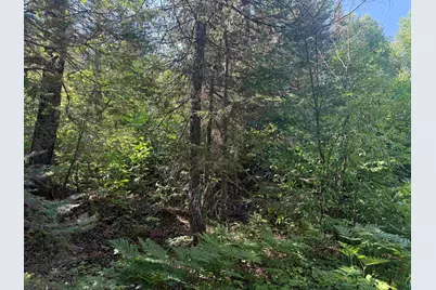 Xxb Rocky Top Trail, Hovland, MN 55606 - Photo 3