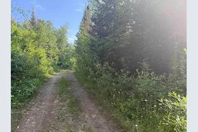 Xxb Rocky Top Trail, Hovland, MN 55606 - Photo 5
