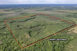 Xxx Digs Dr, Wright, MN 55798 - Photo 1