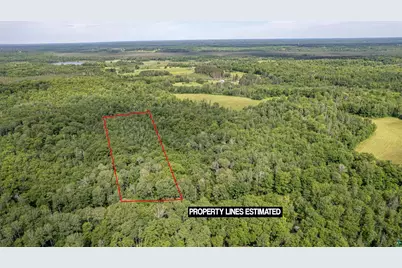 2Xxx Bent Trout Lake Rd, Barnum, MN 55707 - Photo 3