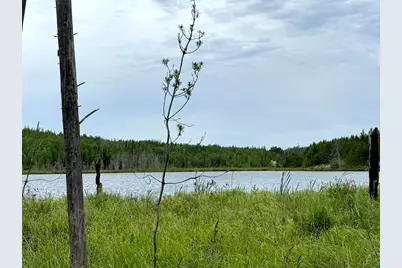 Tbd Onagon Lake Rd, Grand Marais, MN 55604 - Photo 3