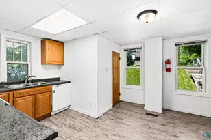 217 E 7th St, Duluth, MN 55805 - Photo 47
