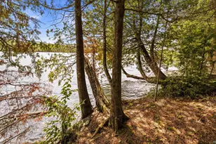 16 Carlson Rd, Grand Marais, MN 55604 - Photo 39