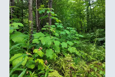 760 Caspers Hill Rd, Grand Marais, MN 55604 - Photo 27