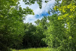 760 Caspers Hill Rd, Grand Marais, MN 55604 - Photo 5