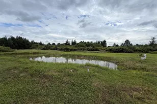 5347 Robinson Rd, Floodwood, MN 55736 - Photo 15