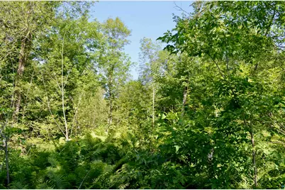 6438 Hwy 29, Floodwood, MN 55736 - Photo 31