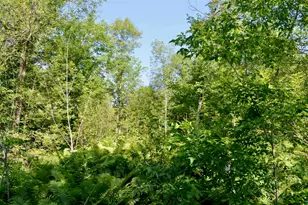 6438 Hwy 29, Floodwood, MN 55736 - Photo 31